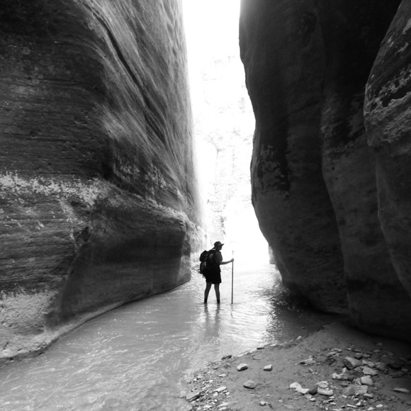 Meet your Posher, Aspenn - Picture 3 of 4